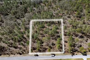 Holly Rd, Dunnellon, FL 34432 - Photo 1