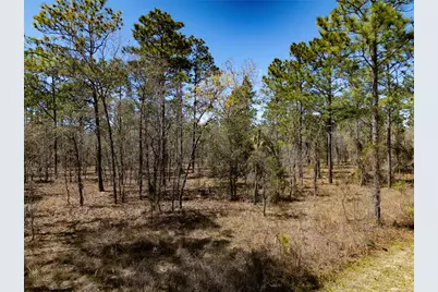 Holly Rd, Dunnellon, FL 34432 - Photo 7