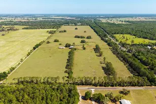 19355 SW 25th Pl, Dunnellon, FL 34431 - Photo 5