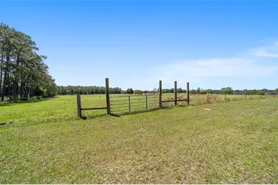 19355 SW 25th Place, Dunnellon, FL 34431 - Photo 13
