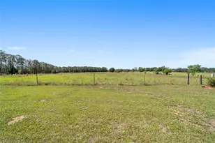 19355 SW 25th Pl, Dunnellon, FL 34431 - Photo 37