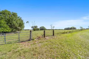 19355 SW 25th Pl, Dunnellon, FL 34431 - Photo 15
