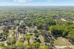 4885 NE 132nd Pl, Anthony, FL 32617 - Photo 47