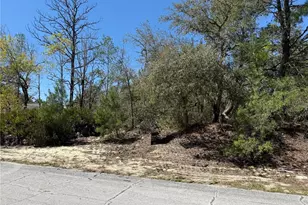 10762 N Moreno Dr, Dunnellon, FL 34433 - Photo 1