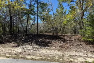 10776 N Moreno Dr, Dunnellon, FL 34433 - Photo 1