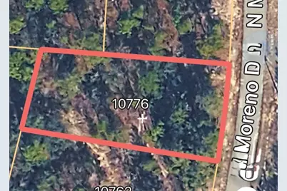 10776 N Moreno Drive, Dunnellon, FL 34433 - Photo 3