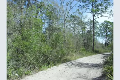 Tract 418 SW 158th Lane, Dunnellon, FL 34432 - Photo 17