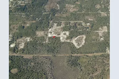Tract 418 SW 158th Lane, Dunnellon, FL 34432 - Photo 9