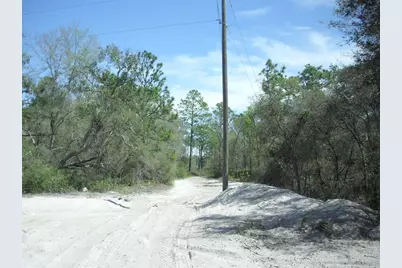 Tract 418 SW 158th Lane, Dunnellon, FL 34432 - Photo 15