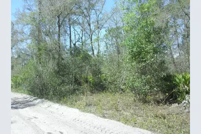 Tract 418 SW 158th Lane, Dunnellon, FL 34432 - Photo 3