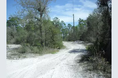 Tract 418 SW 158th Lane, Dunnellon, FL 34432 - Photo 13