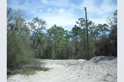 Tract 418 SW 158th Lane, Dunnellon, FL 34432 - Photo 11