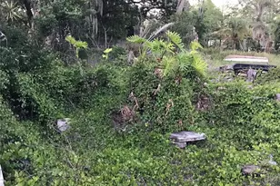 12451 SE 115th Ave, Belleview, FL 34420 - Photo 47