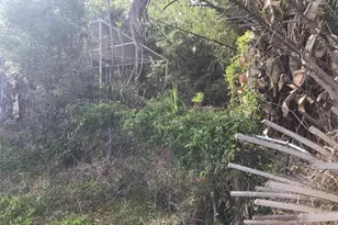 12451 SE 115th Ave, Belleview, FL 34420 - Photo 3