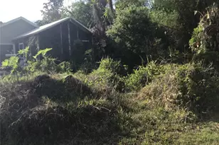 12451 SE 115th Ave, Belleview, FL 34420 - Photo 3