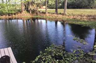 12451 SE 115th Ave, Belleview, FL 34420 - Photo 19