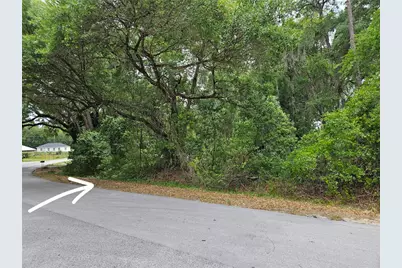 Lot 14 Locust Run Course, Ocala, FL 34472 - Photo 3