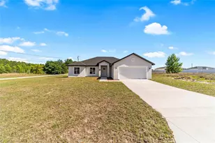 3 Walnut Run, Ocala, FL 34480 - Photo 63