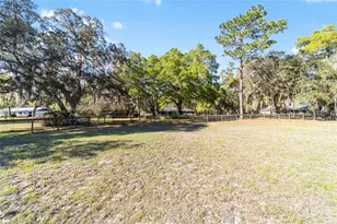 4849 NE 132nd Pl, Anthony, FL 32617 - Photo 59