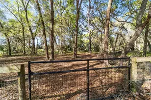 4849 NE 132nd Pl, Anthony, FL 32617 - Photo 55