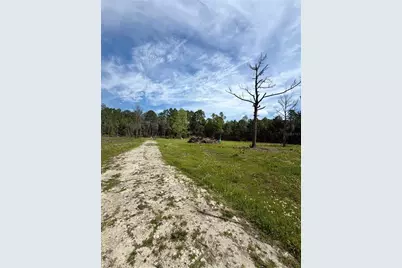 8798 E Highway 318, Citra, FL 32113 - Photo 11