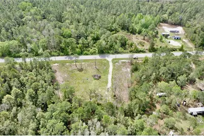 8798 E Highway 318, Citra, FL 32113 - Photo 5