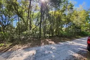Tbd SW 30 St, Ocala, FL 34481 - Photo 1