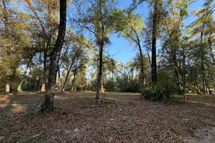 8690 NW 160th St, Trenton, FL 32693 - Photo 9