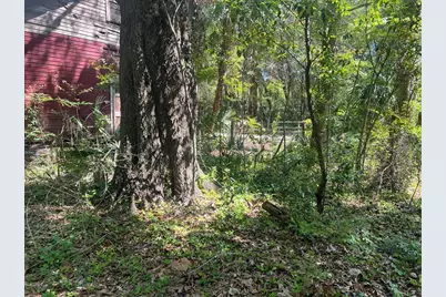 Tbd, Williston, FL 32696 - Photo 3