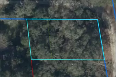 Tbd, Williston, FL 32696 - Photo 7