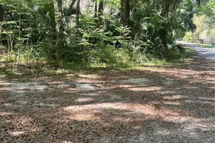 Tbd, Williston, FL 32696 - Photo 1