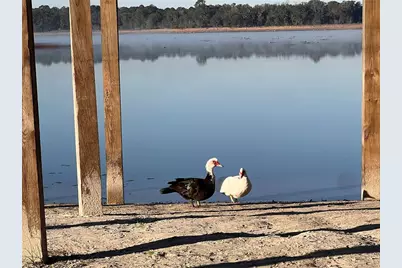 Lot 25 SW Timberlake Road, Dunnellon, FL 34431 - Photo 23