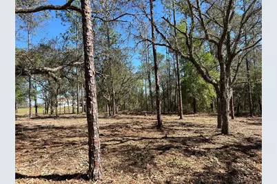 Lot 25 SW Timberlake Road, Dunnellon, FL 34431 - Photo 11