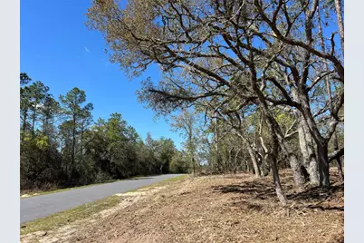 Lot 25 SW Timberlake Road, Dunnellon, FL 34431 - Photo 15