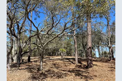 Lot 25 SW Timberlake Road, Dunnellon, FL 34431 - Photo 9