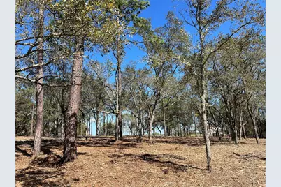 Lot 25 SW Timberlake Road, Dunnellon, FL 34431 - Photo 7