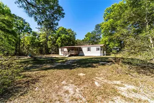 8415 SW 41st Place Rd, Ocala, FL 34481 - Photo 43