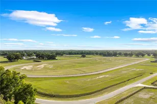 1345-2 NE 155 Pl, Citra, FL 32113 - Photo 33