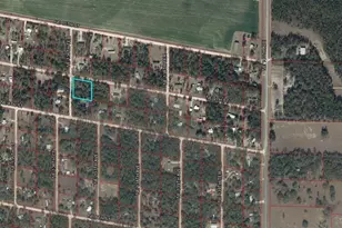 Tbd NE 9th St, Williston, FL 32696 - Photo 1