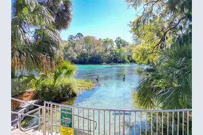 9738 SW 195th Circle, Dunnellon, FL 34432 - Photo 69