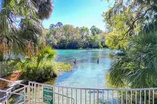 9738 SW 195th Cir, Dunnellon, FL 34432 - Photo 69