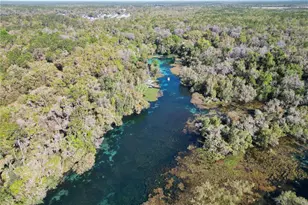 9738 SW 195th Cir, Dunnellon, FL 34432 - Photo 83