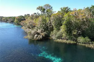 9738 SW 195th Cir, Dunnellon, FL 34432 - Photo 77