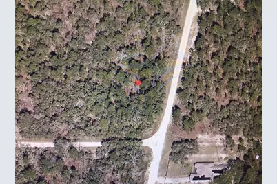 0 SW 89 Street, Dunnellon, FL 34432 - Photo 5