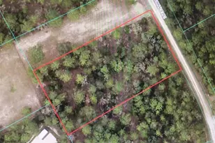 0 SW 135 Terrace Rd, Ocala, FL 34481 - Photo 1