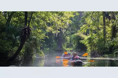 14263 NE 252nd Court Road #114, Salt Springs, FL 32134 - Photo 3