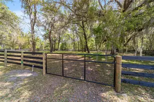 16638 N Hwy 329, Reddick, FL 32686 - Photo 139