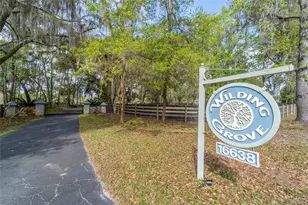 16638 N Hwy 329, Reddick, FL 32686 - Photo 21