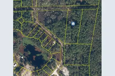 Lots 11 & 21 Stardust Boulevard, Crescent City, FL 32112 - Photo 3