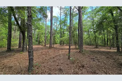2797 W Grapevine Court, Dunnellon, FL 34433 - Photo 5